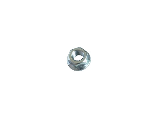 Nut, 5/16" Flanged, smooth (each)